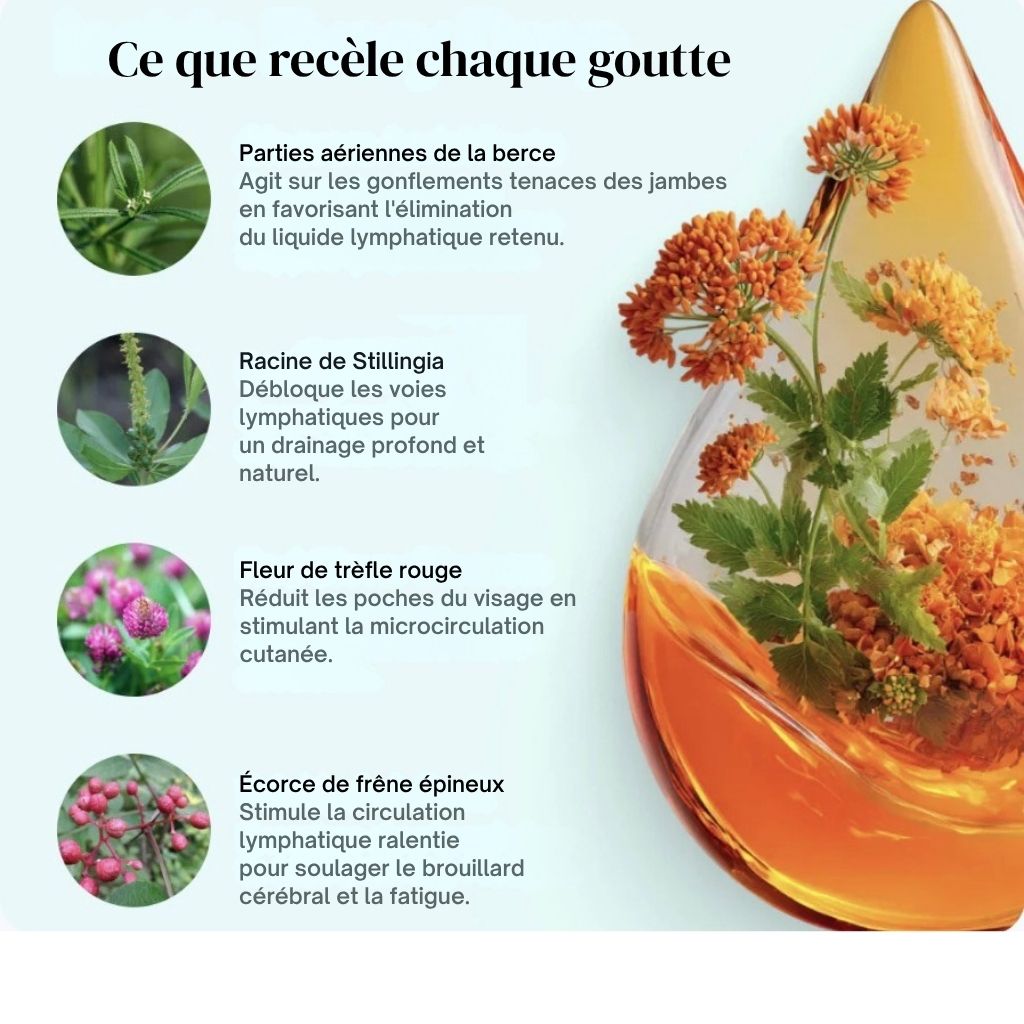 LymphoNaturel - Ingrédients naturels - Ce que recèle chaque goutte
